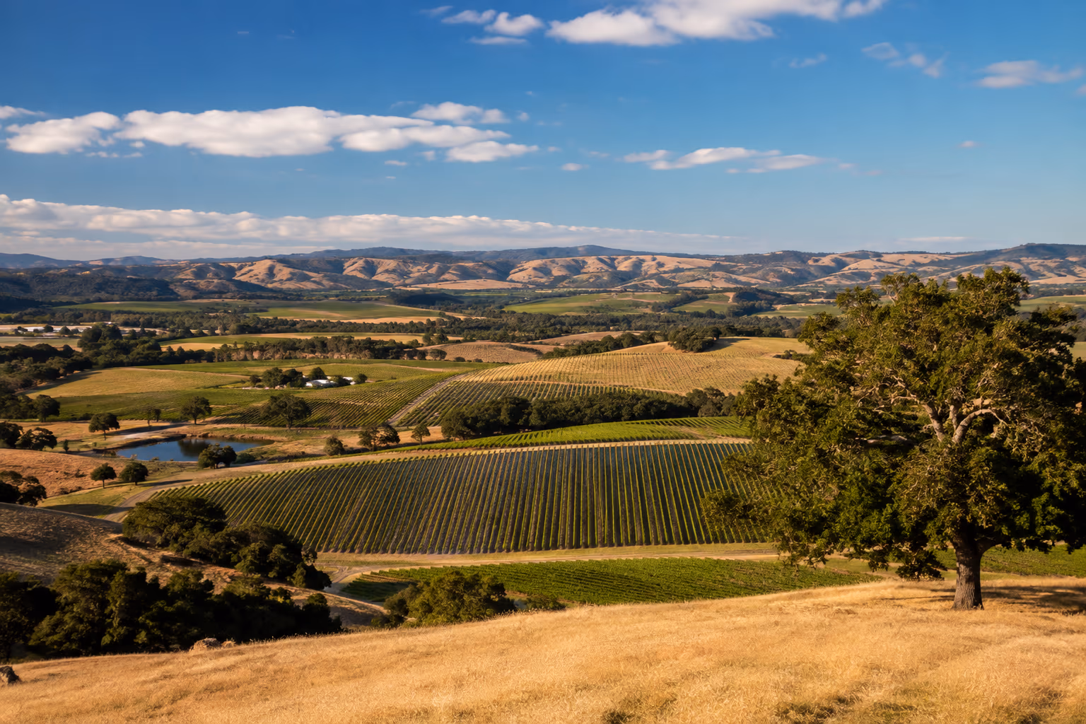 Window coverings in Napa, CA