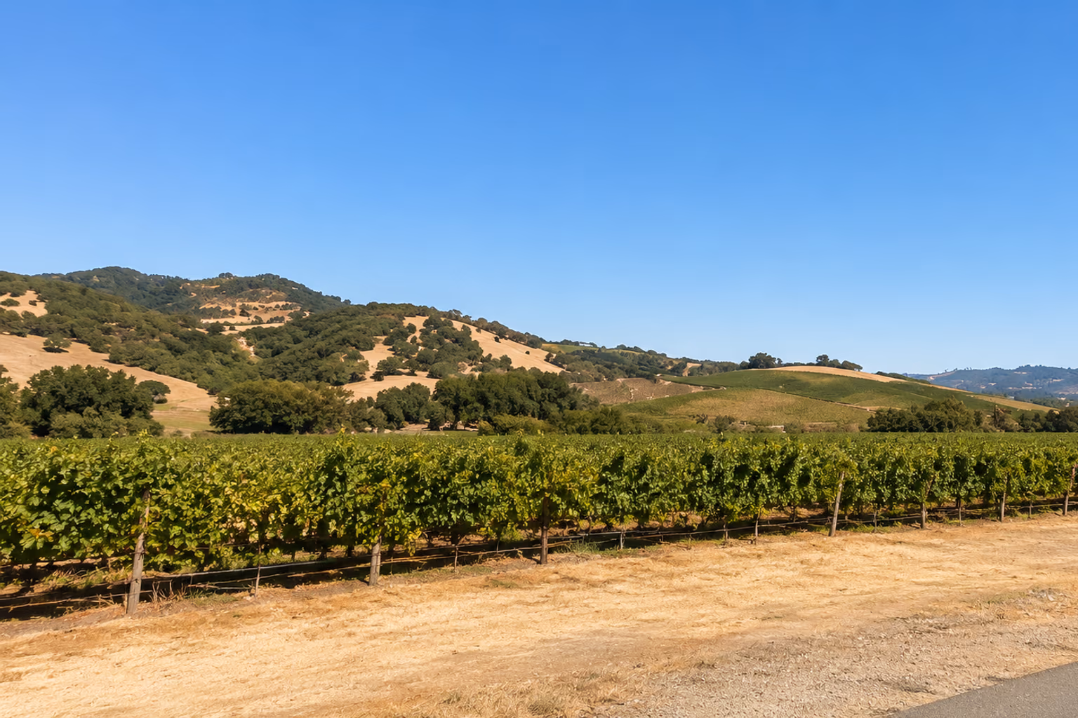 Window coverings in Sonoma, CA