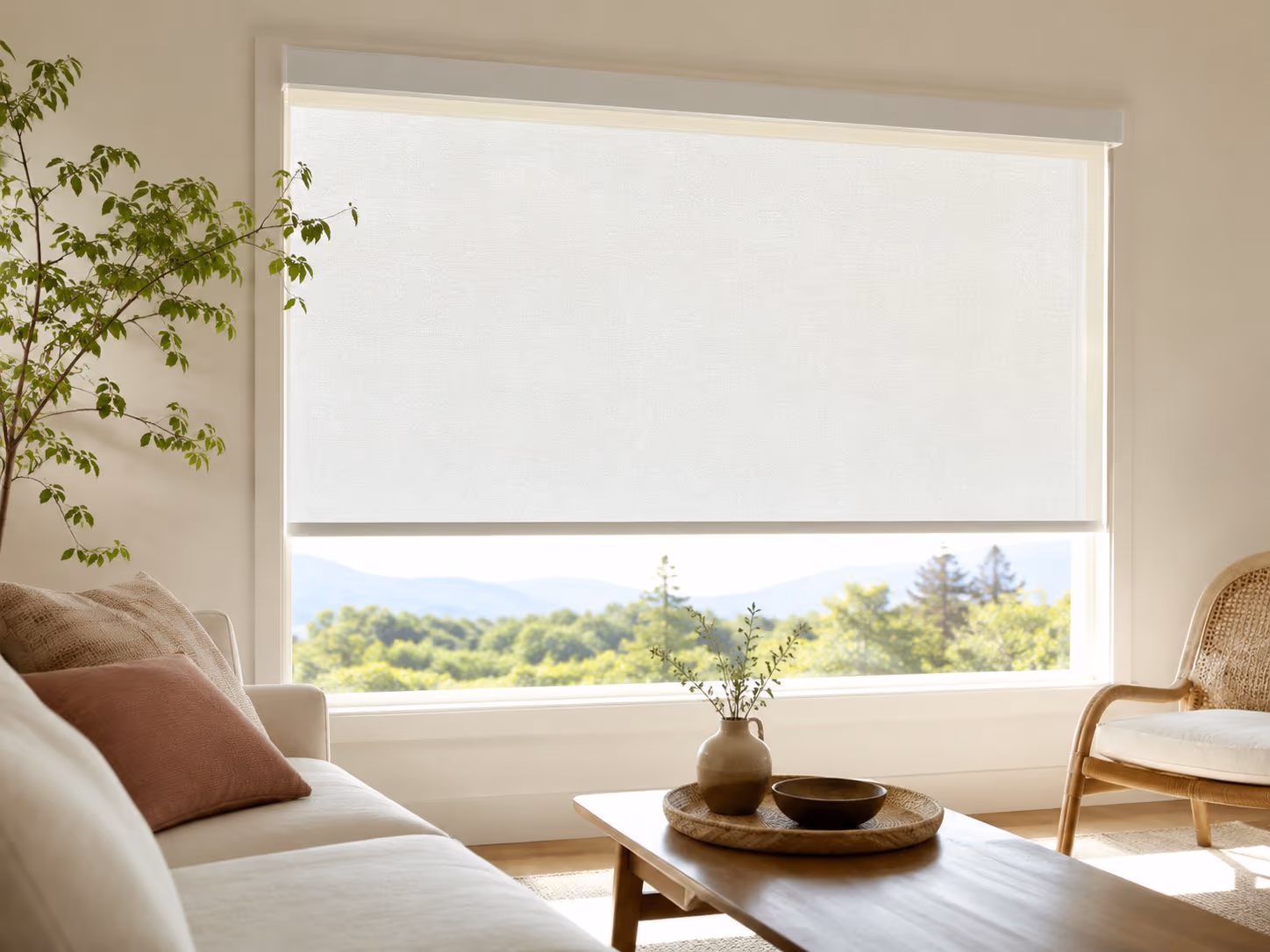 Light-filtering roller shades on a clean cassette in a bright Sonoma County home — Alta Roller Shades installed by Discount Best Blinds of Santa Rosa, CA.