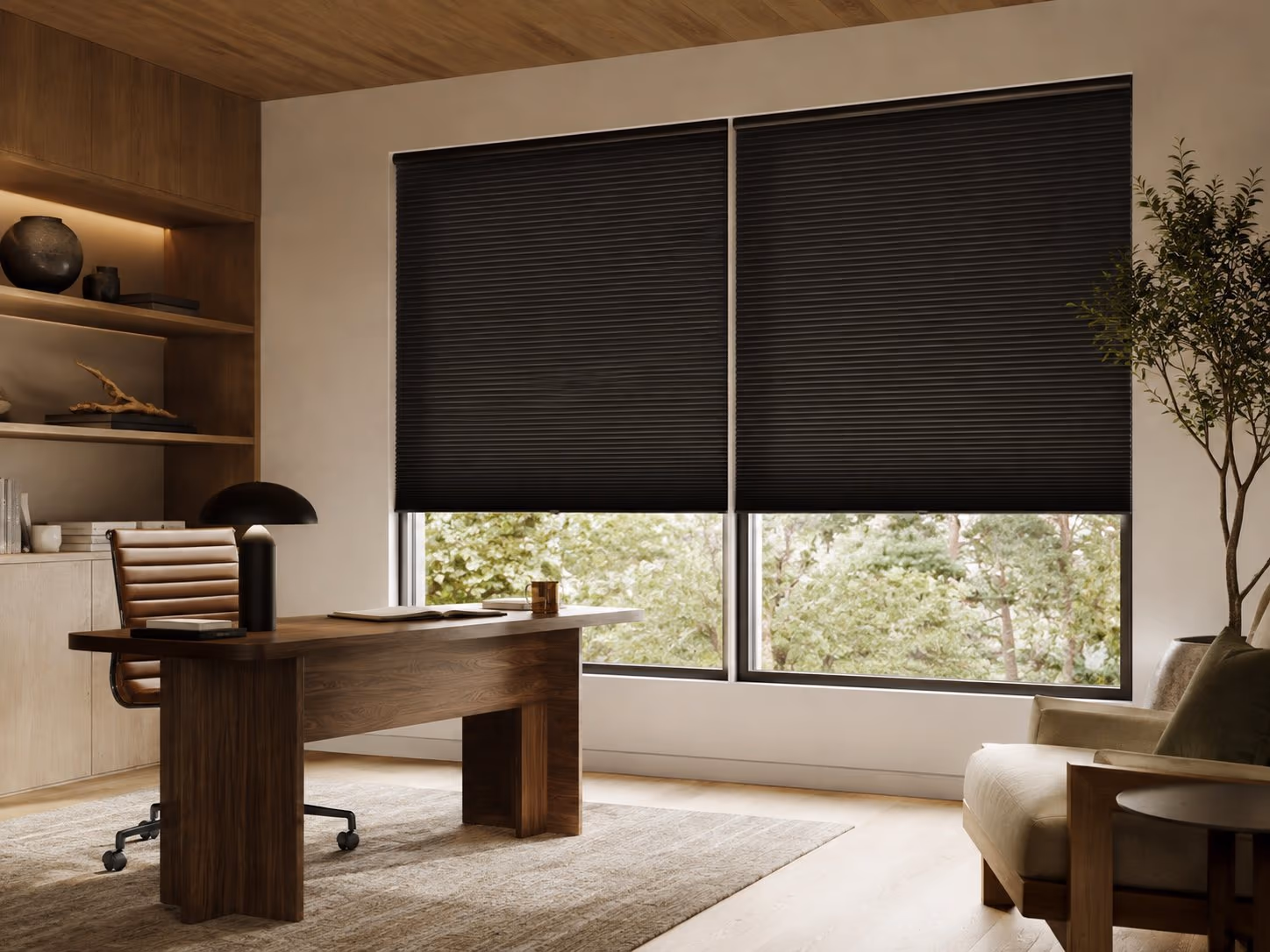 Duette® Honeycomb Shades