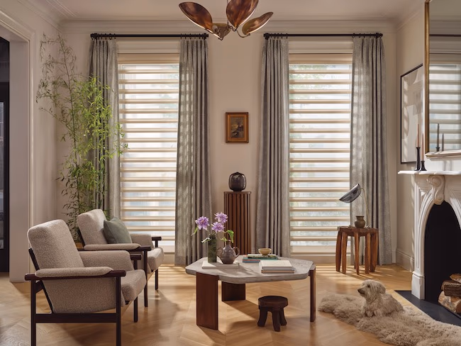 Hunter Douglas Pirouette shadings with drapery panels filtering natural daylight for circadian wellness in Sonoma County living room